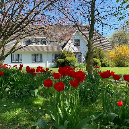 Landhaus Haack Tumlauer Koog Exterior foto