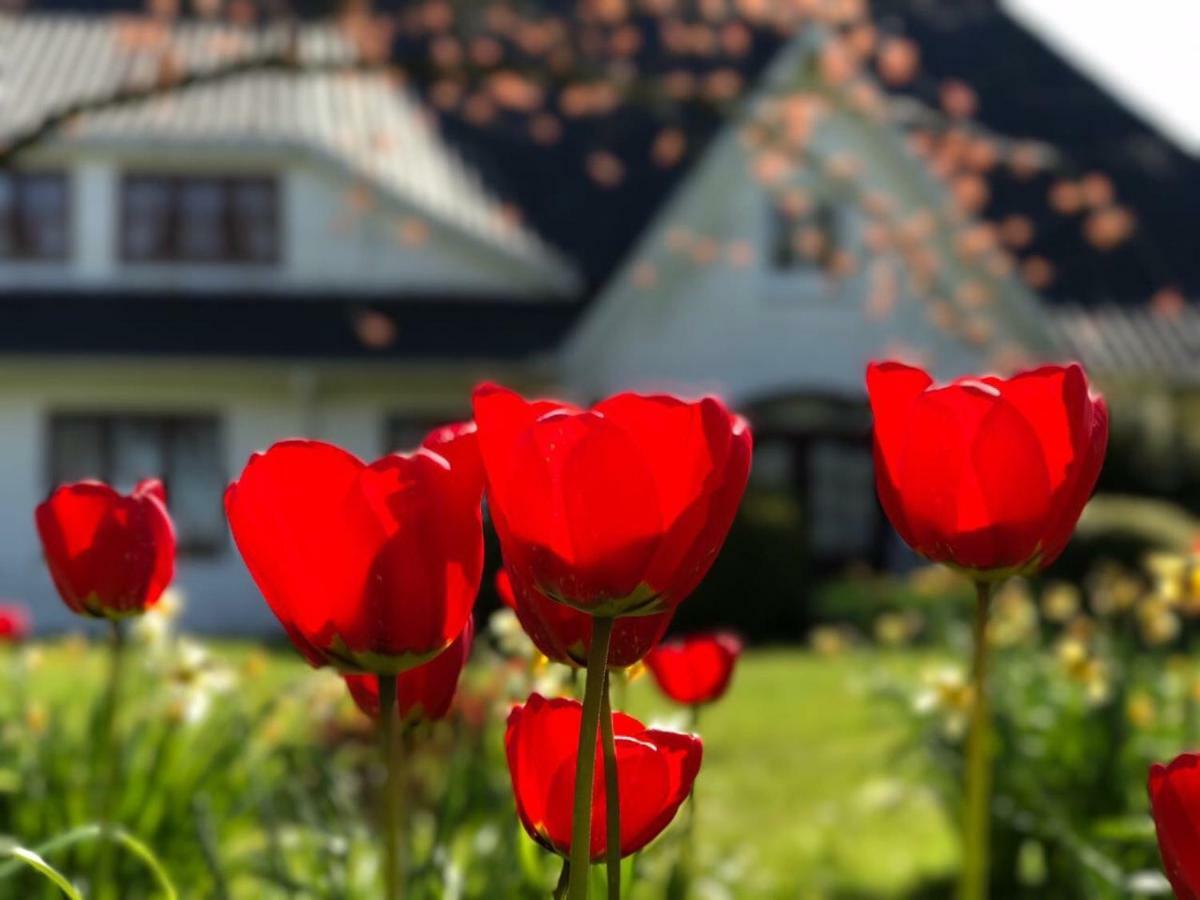 Landhaus Haack Tumlauer Koog Exterior foto